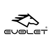 Evolet India logo - Similar company to Gemopai
