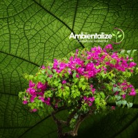 Ambientalize Nordeste Consultoria Ambiental logo - Similar company to Gaia Vision Inc.
