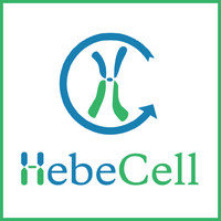 HebeCell Corp logo - Similar company to Sbh Sciences