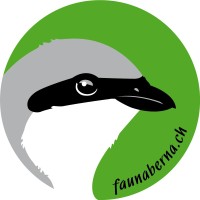 faunaberna logo - Similar company to Insect-Respect