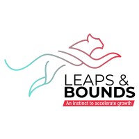 Leaps & Bounds Global Business Solutions logo - Similar company to Sunford Valves Company