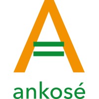 Ankosé CIC logo - Similar company to Bni Norfolk