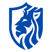 Leo Solutions logo - Similar company to Zera Technologies Private Limited