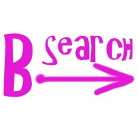 BSearch logo - Similar company to Light Code Sp. Z O.O.