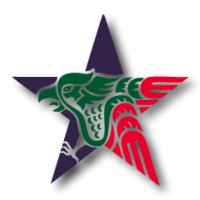 U.S-Mexico Chamber of Commerce Chapter Guanajuato logo - Similar company to Freedom Logistics