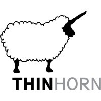 Thinhorn LLC logo - Similar company to Directive Communication Systems