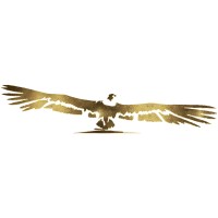 Paracas Films logo - Similar company to Win Réseaux