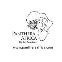 PANTHERA AFRICA logo - Similar company to Dcl Transport Gmbh
