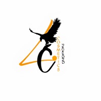 Lahore Cosmetics Packaging logo - Similar company to Kiswa Cosmetics