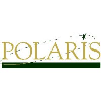 Polaris Investment Partners, Inc logo - Similar company to Bison Wealth Management, Llc
