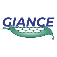 GIANCE project logo - Similar company to 2Dspin-Tech