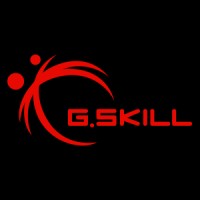 G.SKILL logo - Similar company to Ipsg Technology