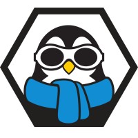 Flying Penguin logo - Similar company to Brainstorm Development