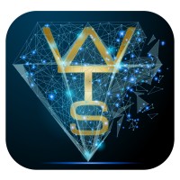 WealthTech Systems logo - Similar company to Digiitechh Serviices India