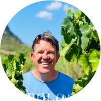 WijnMartijn logo - Similar company to Db Invest