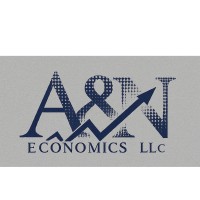 A&N Economics LLC logo - Similar company to Allendale, Inc.
