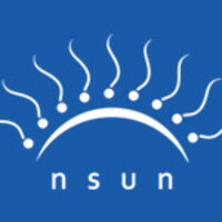 n s u n / انسان logo - Similar company to Tiwall / تیوال