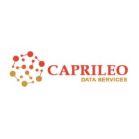 Caprileo logo - Similar company to Cronz Limited
