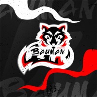Bauman Esports