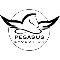 PEGASUS EVO-LUTION INC. logo - Similar company to Skillssyn