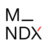 mind X studio logo - Similar company to Go Big Or Go Home