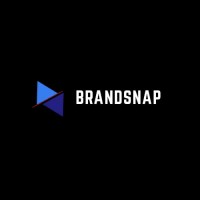 brandsnappk logo - Similar company to Quantitas Solutions