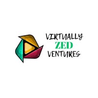 Virtually Zed Ventures logo - Similar company to Intellicept.Com