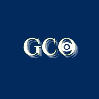 Global Capital Observer