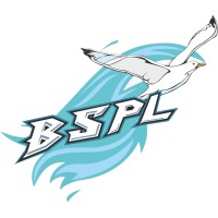 Brilliant Seagull Private Limited logo - Similar company to Engines Plus Ltd