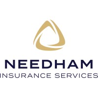 Needham Insurance Services logo - Similar company to The Risk Factor Ltd