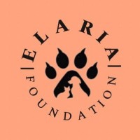 Elaria Foundation logo - Similar company to Aiaa Student Chapter At Suny Buffalo
