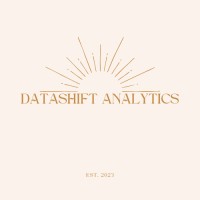 DataShift Analytics logo - Similar company to Vanguard Analytics