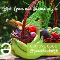 Green Basket logo - Similar company to Bone Health Tracker