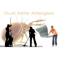 Carpet Cleaning Mississauga logo - Similar company to Carpet Cleaning Markham Pros