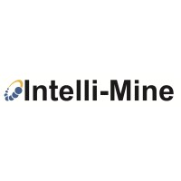 Intelli-Mine Inc. logo - Similar company to The Recon Grp.