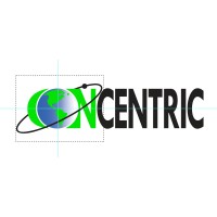 Concentric Group Llc