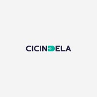 Cicindela Solutions logo - Similar company to Home Delivery