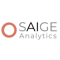 SAIGE Analytics logo - Similar company to Sayge Analytics