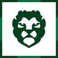 Bright Lion logo - Similar company to Prostar Software, Inc.