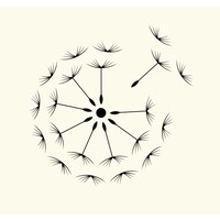 Plant Matter Art logo - Similar company to Fotodc