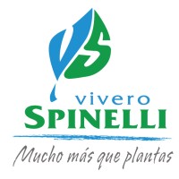 Vivero Spinelli logo - Similar company to Vivero Mario