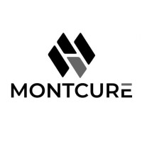 Montcure LLC logo - Similar company to Bell Consulting Group