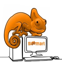 S-MART Italia logo - Similar company to Connektus