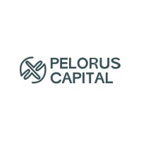Pelorus Capital B.V. logo - Similar company to Veldmark