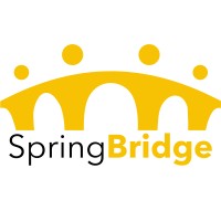 SpringBridge logo - Similar company to Springbridge Direct Ltd