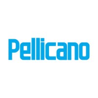 Pellicano logo - Similar company to Bim Engine