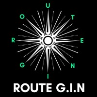 ROUTE GIN logo - Similar company to Teleop - Controle Remoto Para Máquinas Pesadas