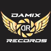 Damix Records logo - Similar company to Wire Trade