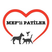 Mef'Li Patiler