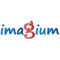 Imagium logo - Similar company to Flatforce.Co